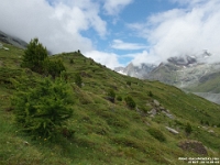 41827 - We 'conquer' the Matterhorn with Barb - Joe, Zermatt  Peter Rhebergen - Each New Day a Miracle